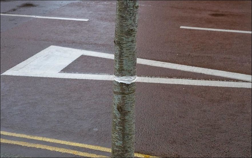 удачно совпало