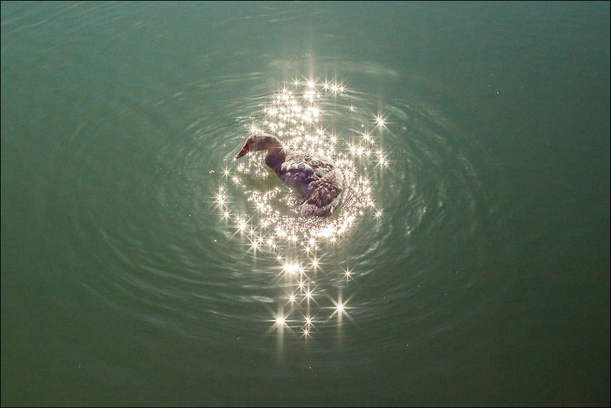 удачно совпало