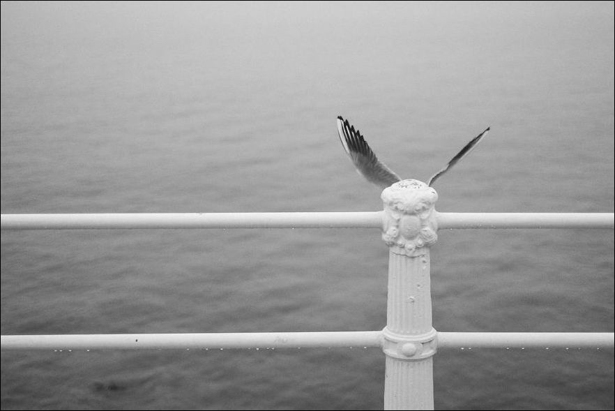 удачно совпало