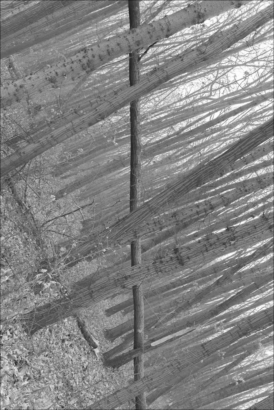 удачно совпало