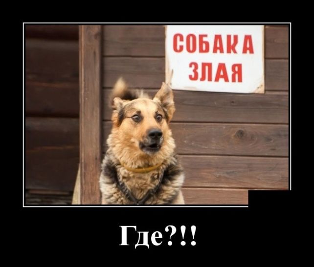 демотиваторы