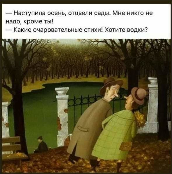 смешные картинки