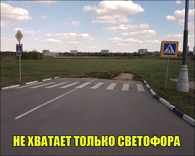 смешные картинки смешные картинки