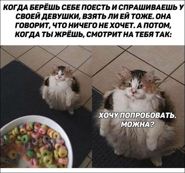 смешные картинки смешные картинки