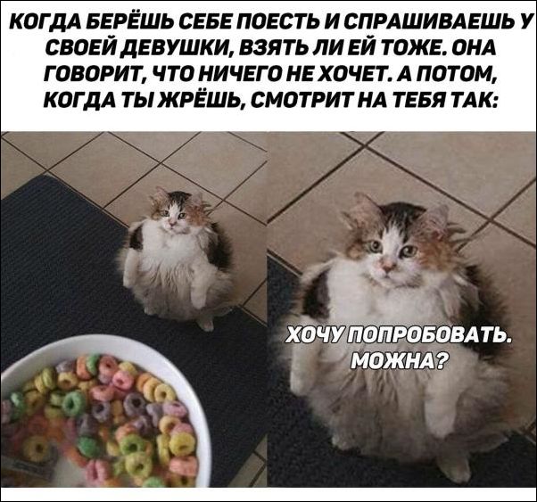 смешные картинки