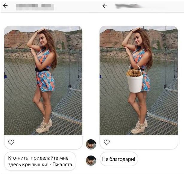 прикольные картинки