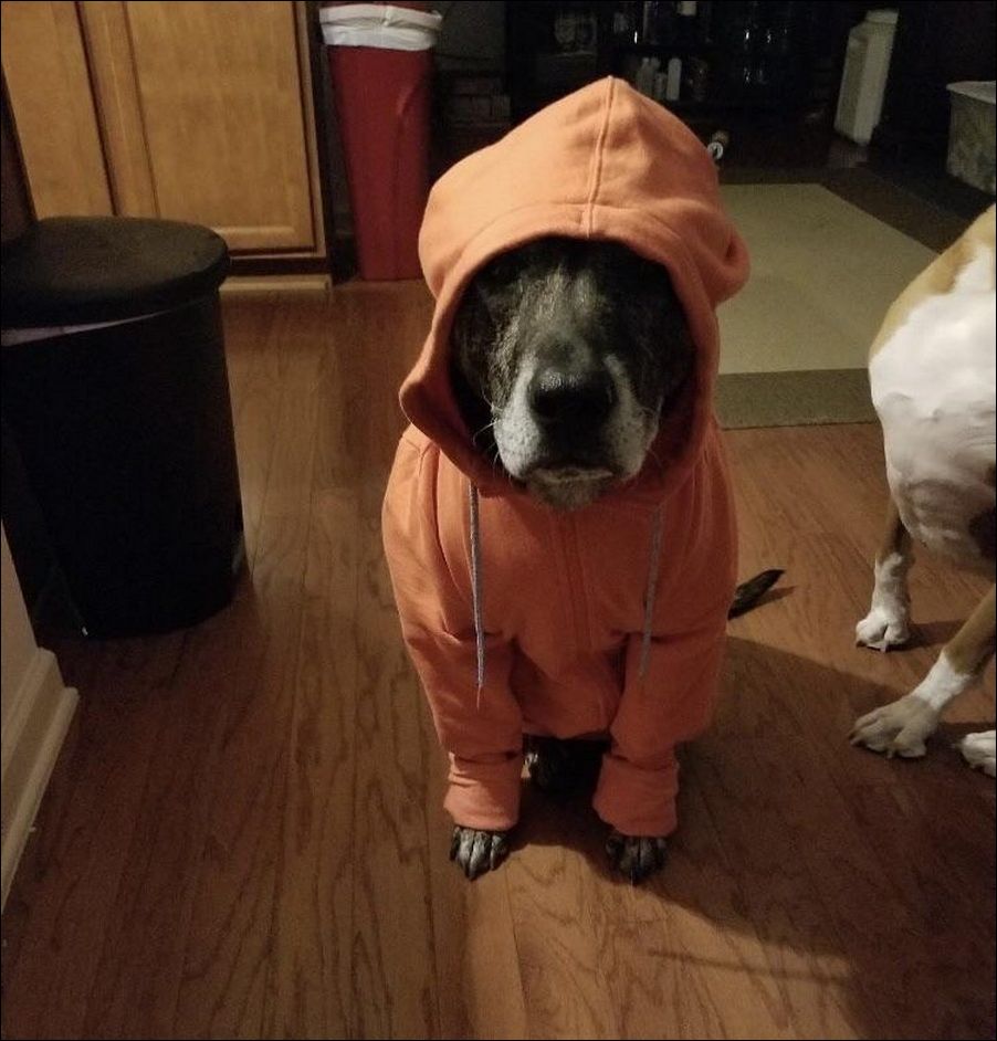 фото приколы