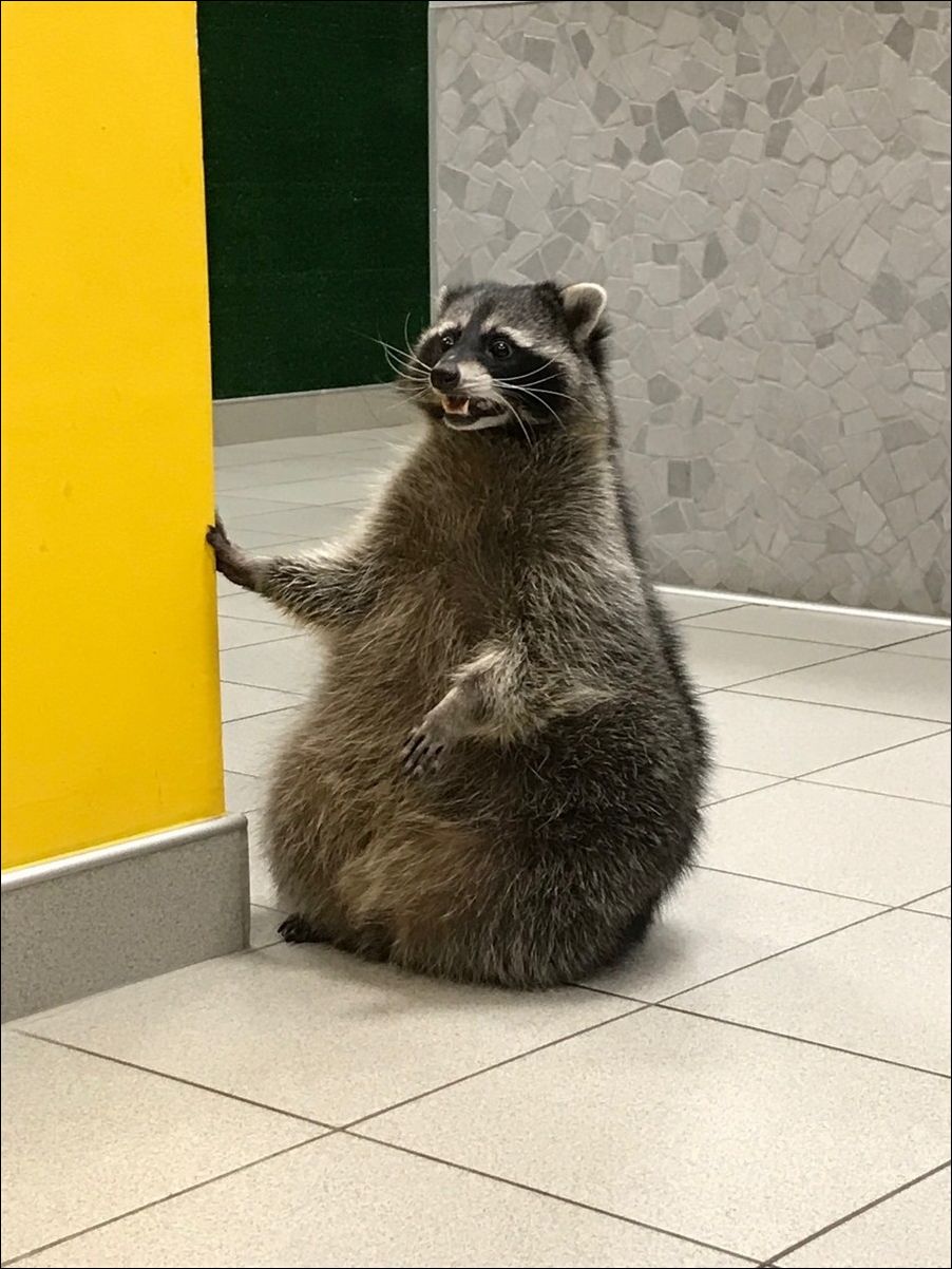 фото приколы