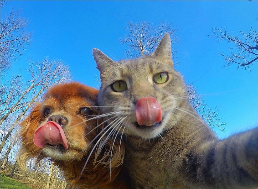 фото приколы