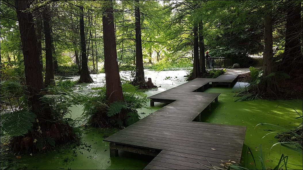 фото приколы