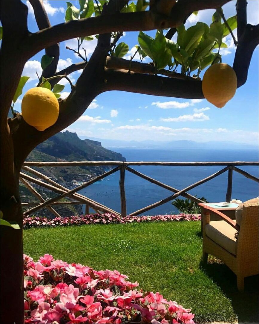 фото приколы