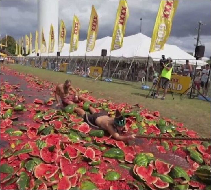 фото приколы