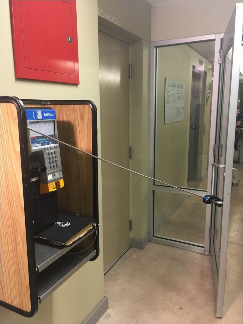 фото приколы