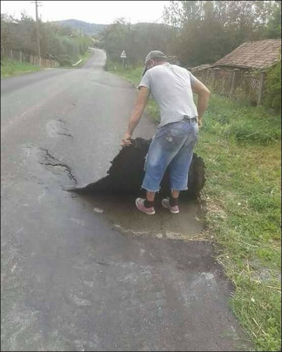 фото приколы