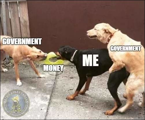 фото приколы