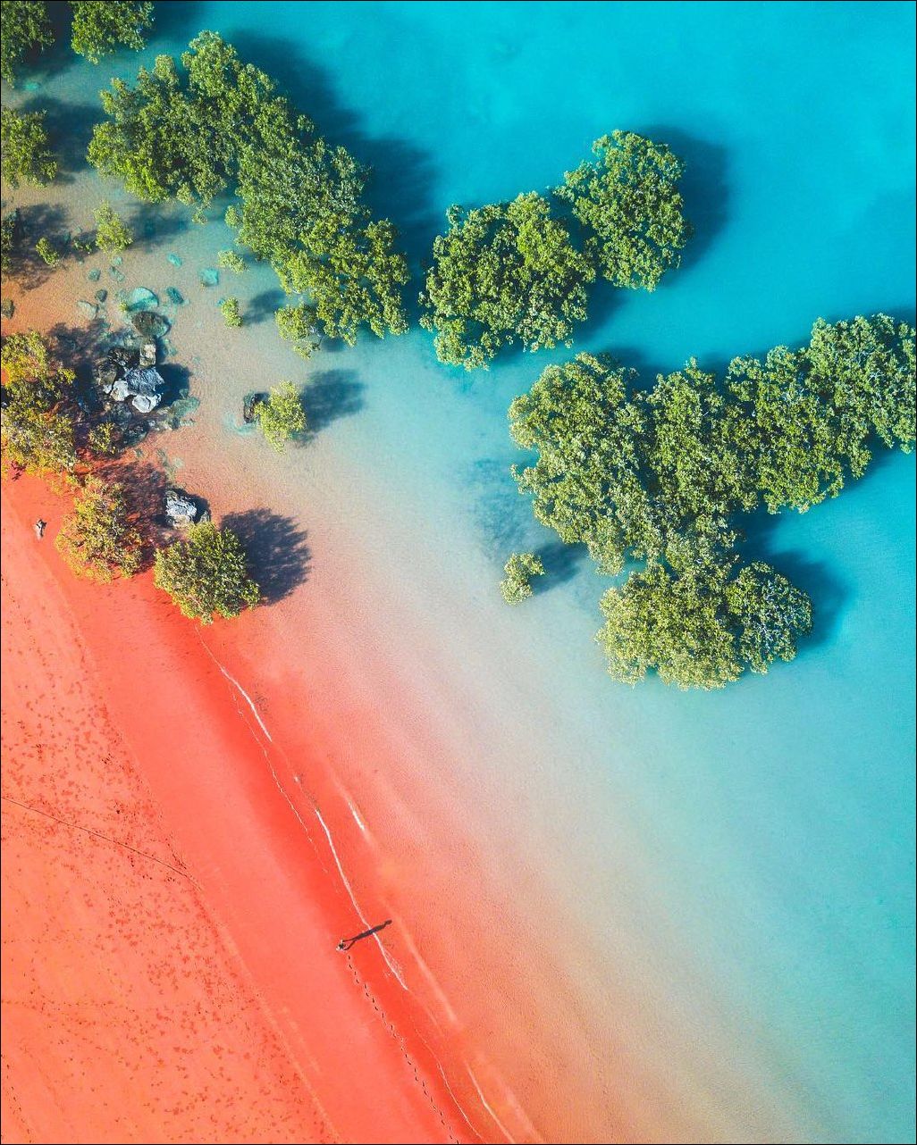 фото приколы