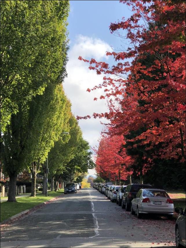 фото приколы