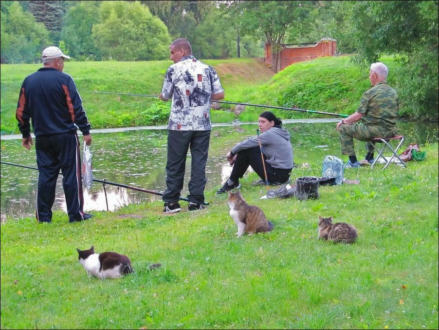 фото приколы