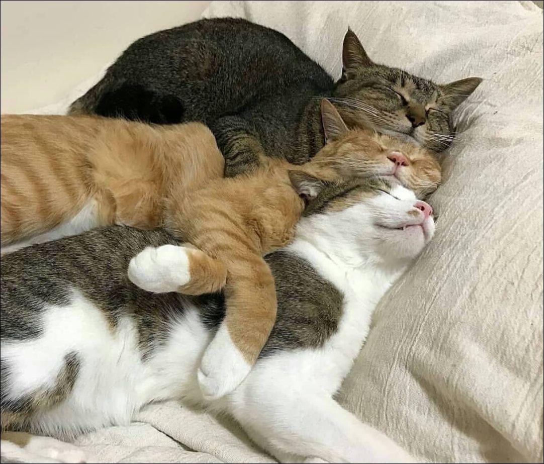 фото приколы