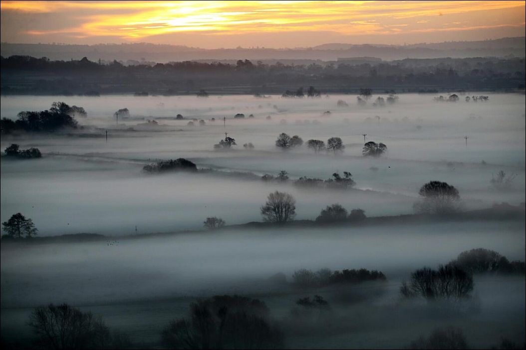 фото приколы