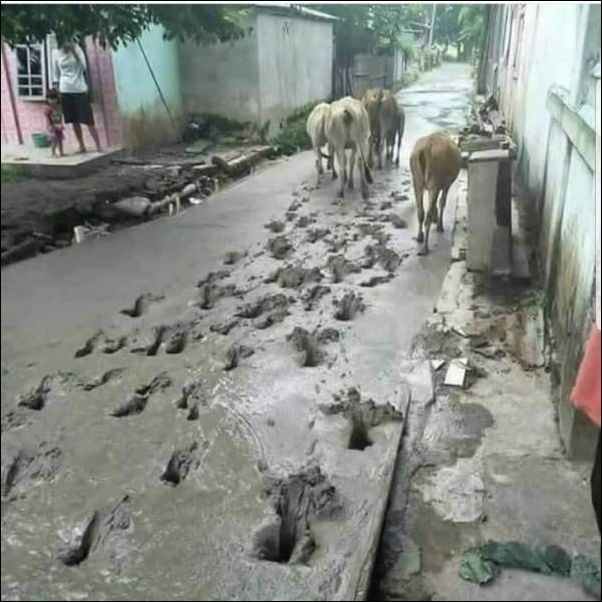 фото приколы