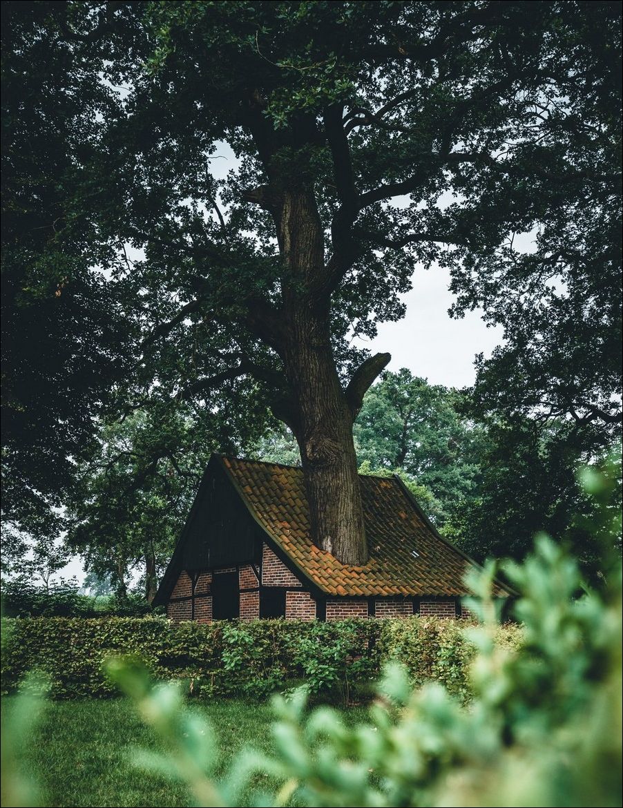 фото приколы