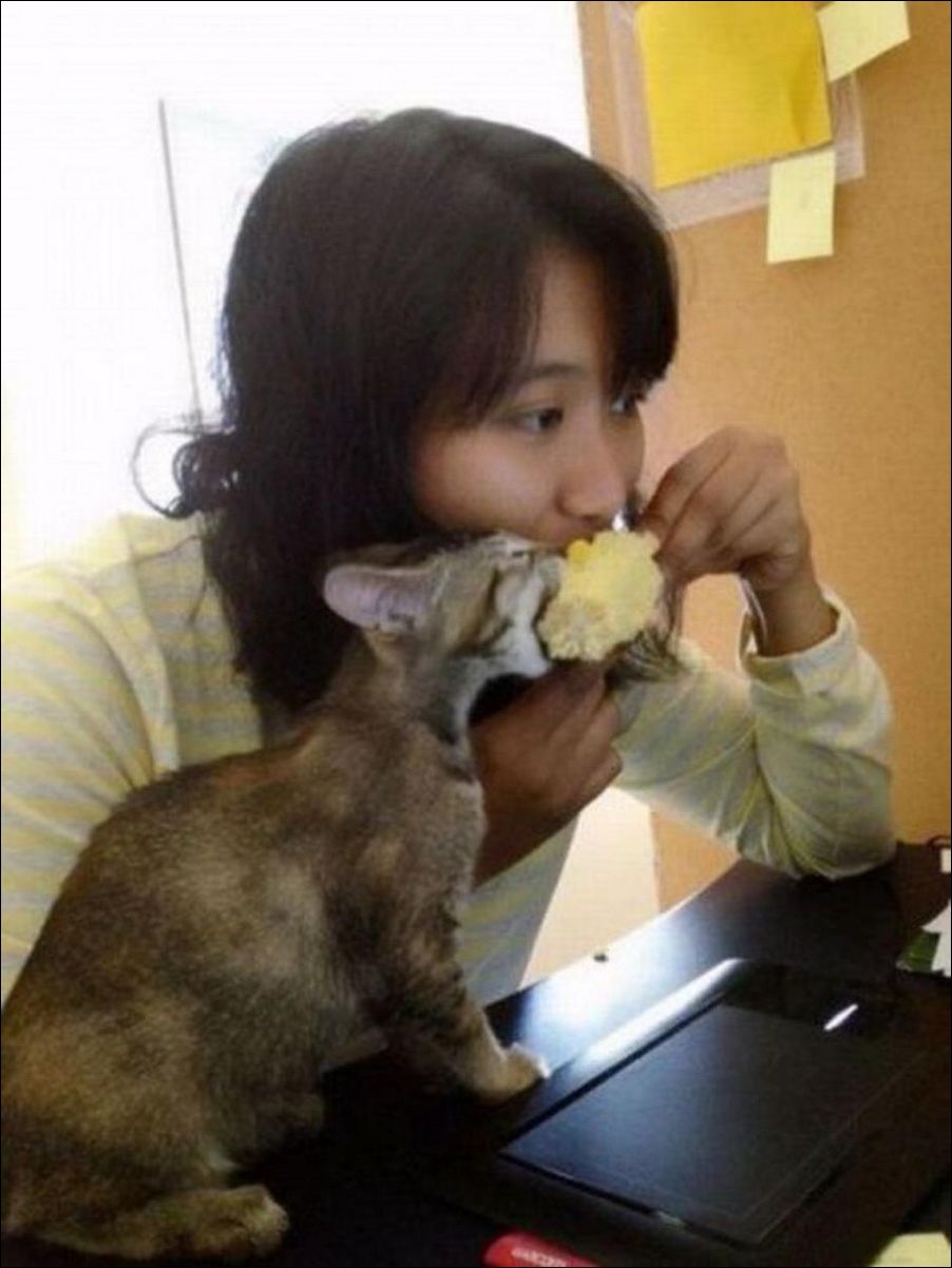 фото приколы