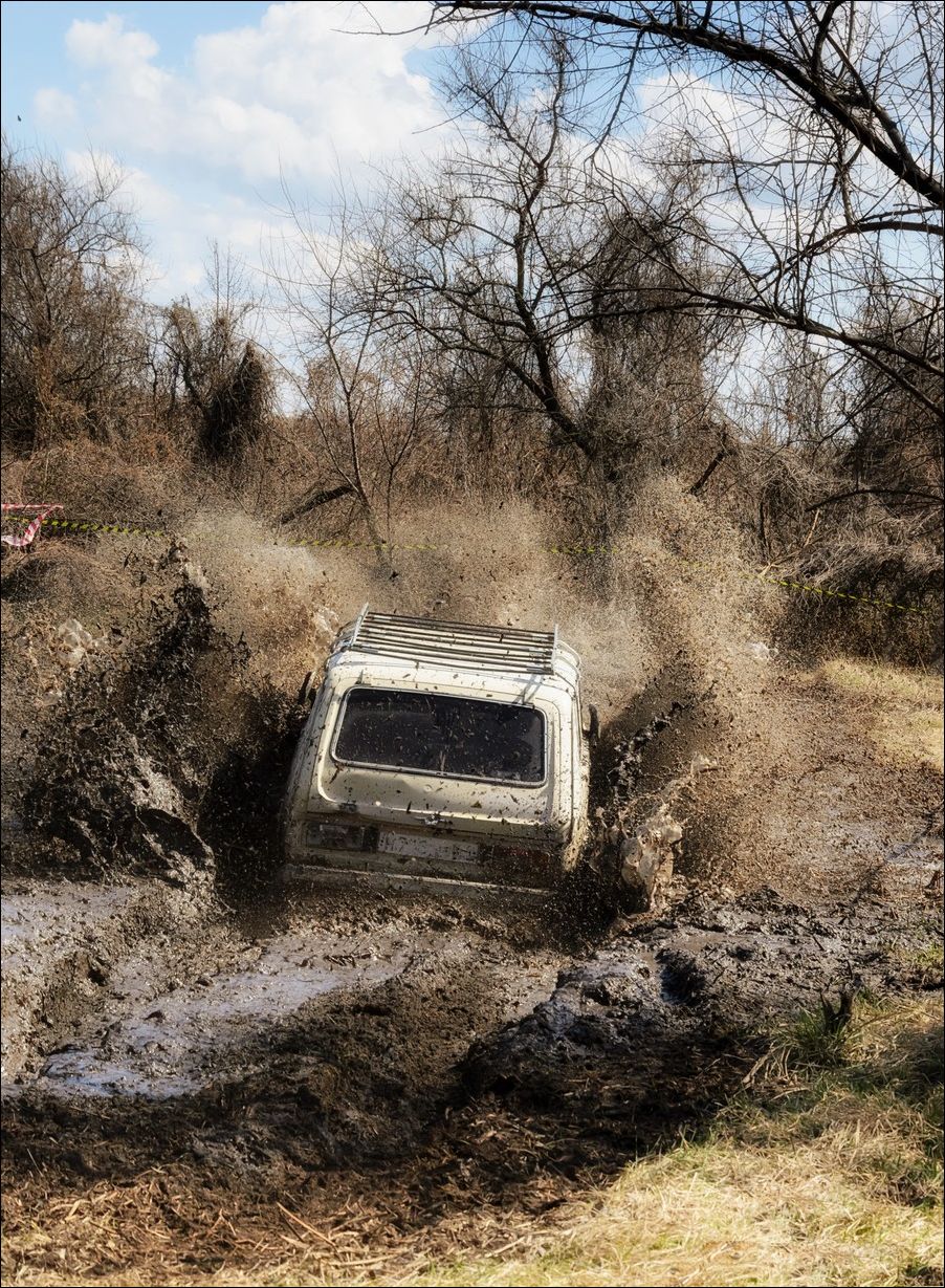 фото приколы