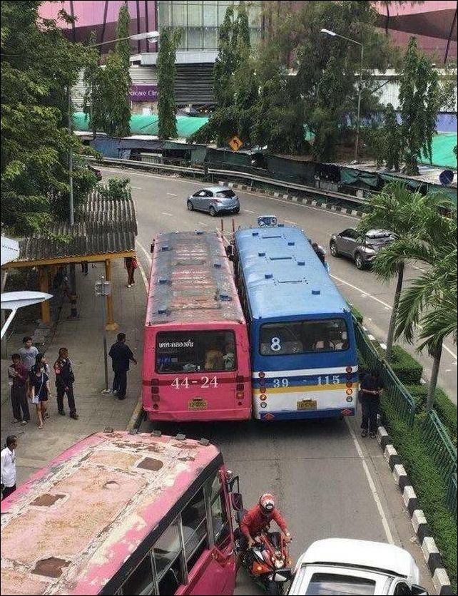 фото приколы