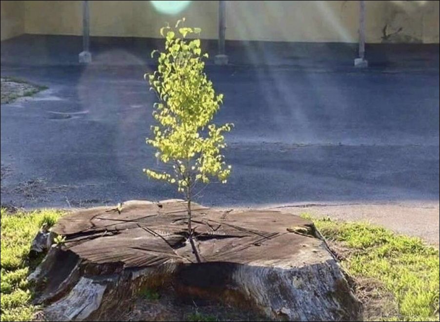 фото приколы