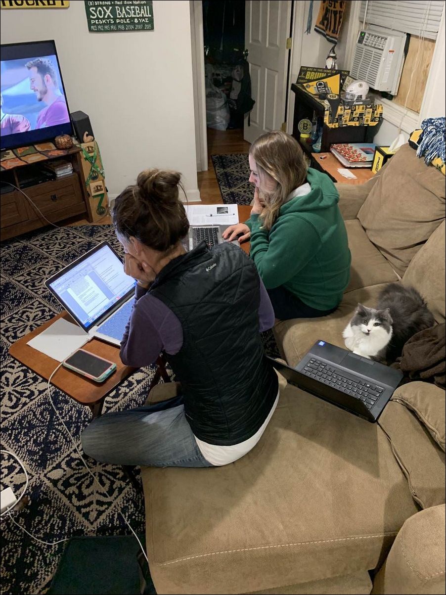 фото приколы