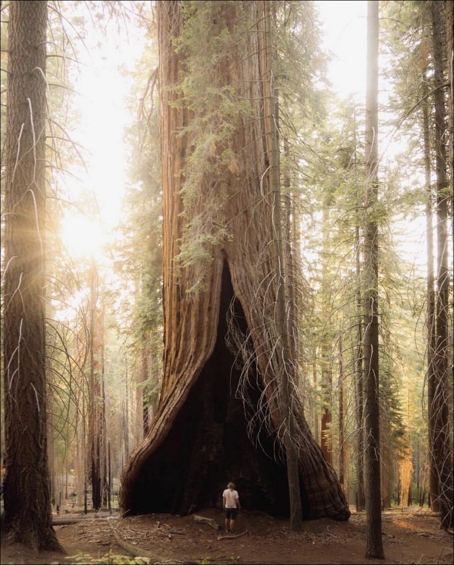 фото приколы