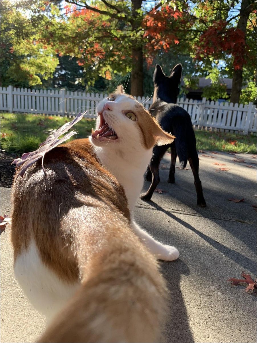 фото приколы