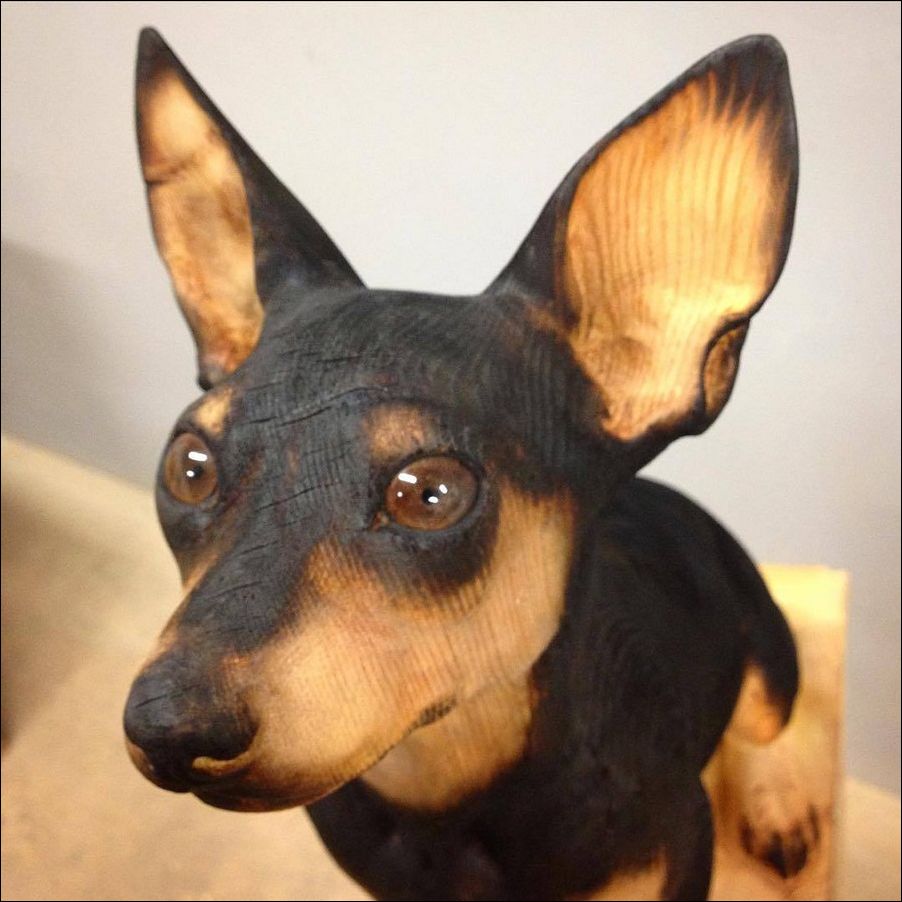 фото приколы