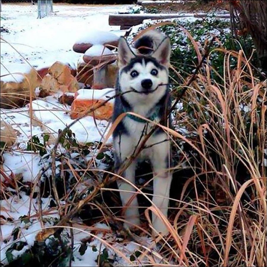 фото приколы