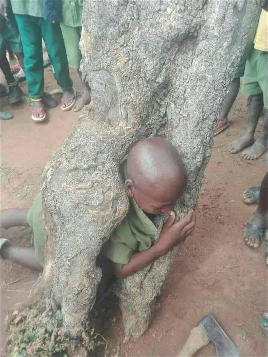 фотоприколы