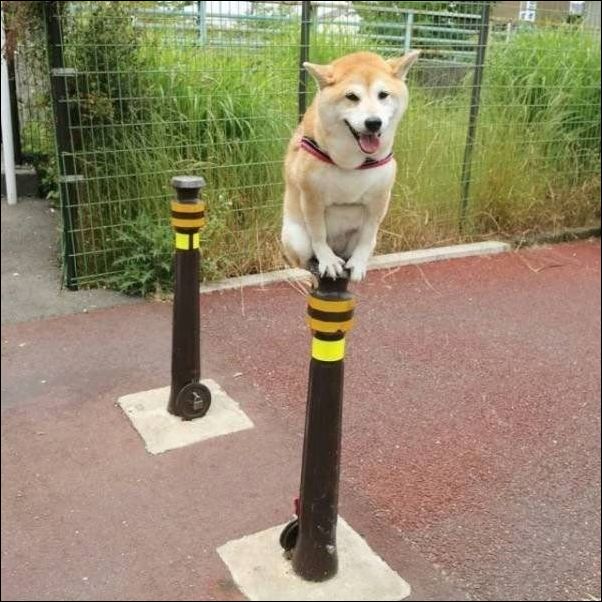 фотоприколы