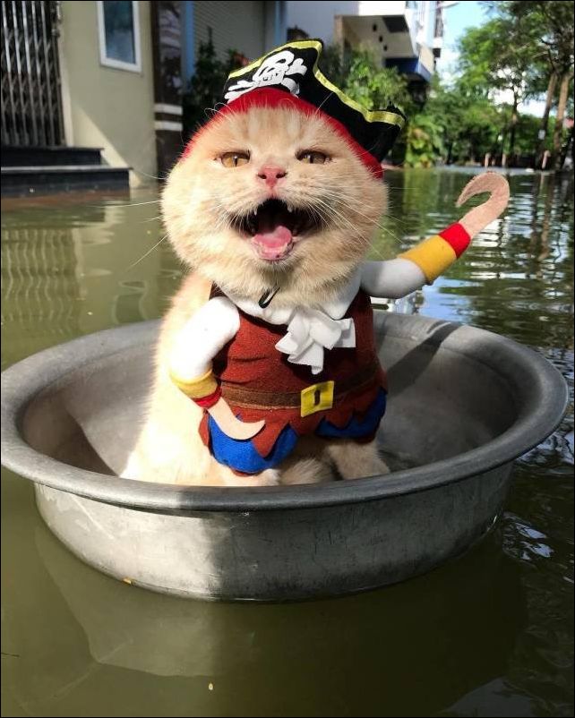 фотоприколы