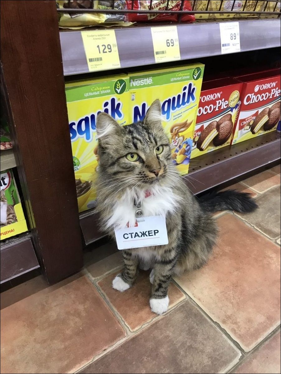 фотоприколы