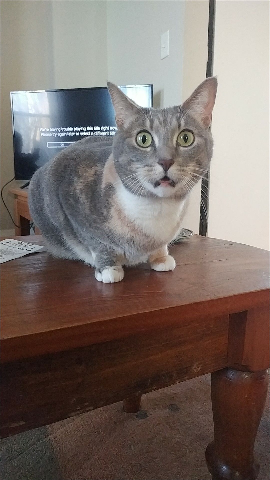 фотоприколы