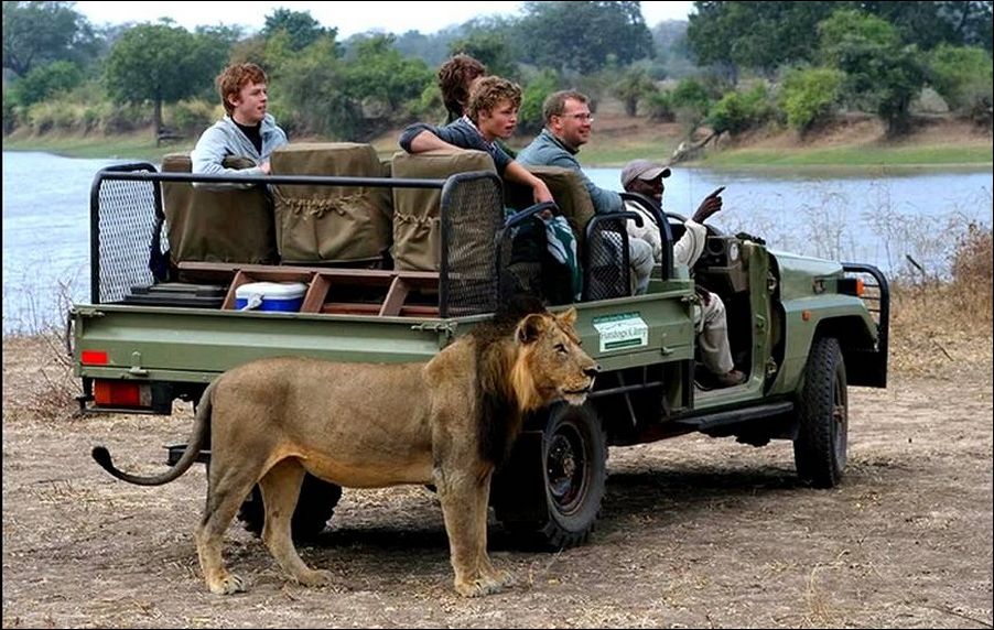 фотоприколы