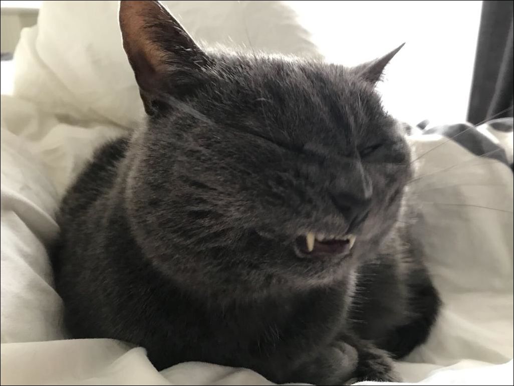 фотоприколы