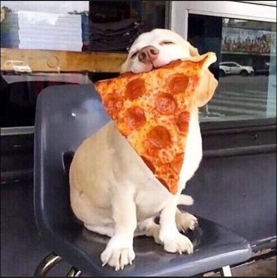 фотоприколы