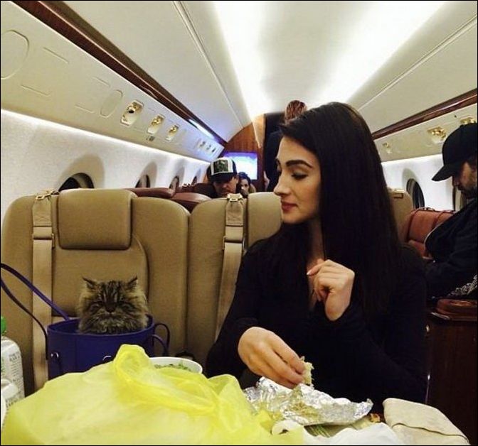 фотоприколы