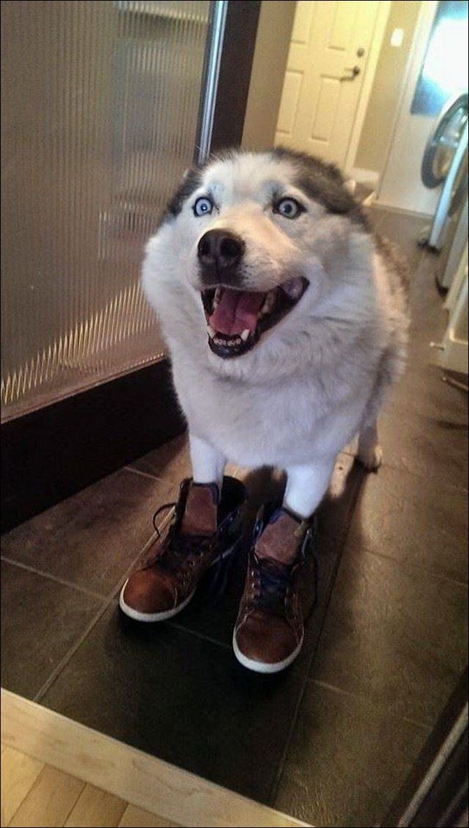 фотоприколы