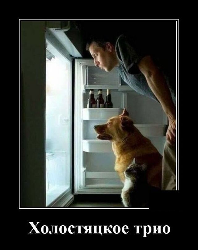 демотиватор