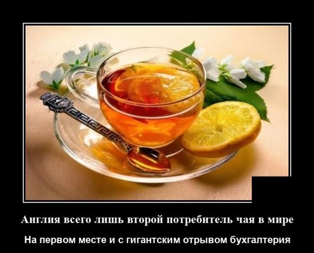 демотиватор