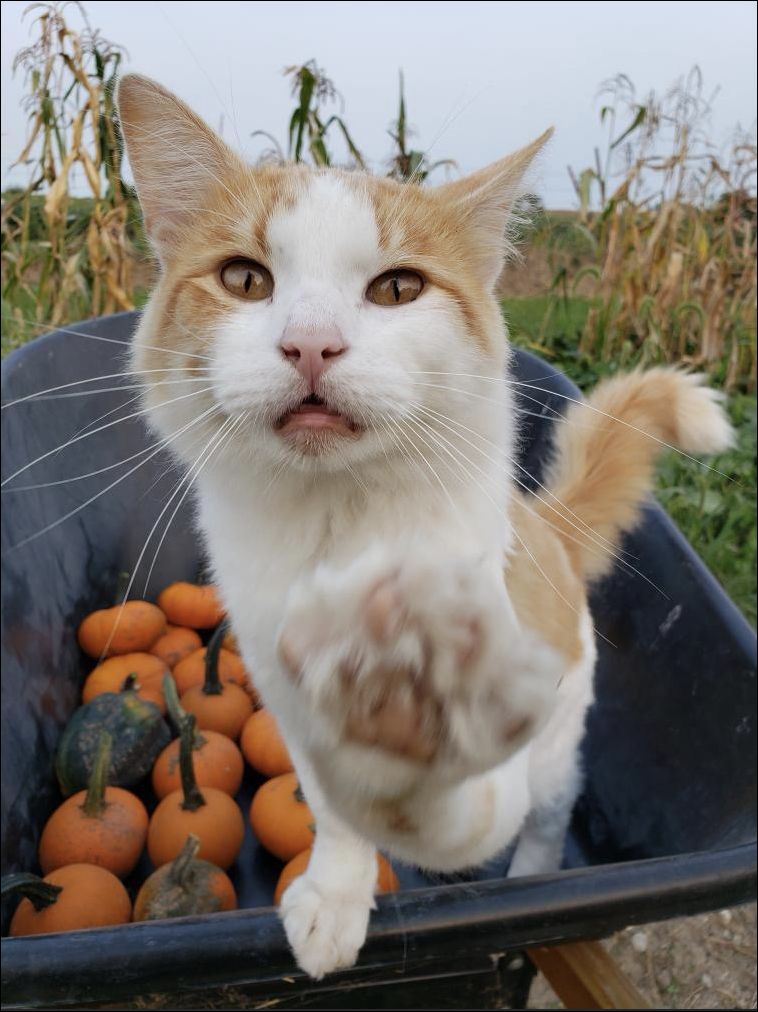 фото приколы