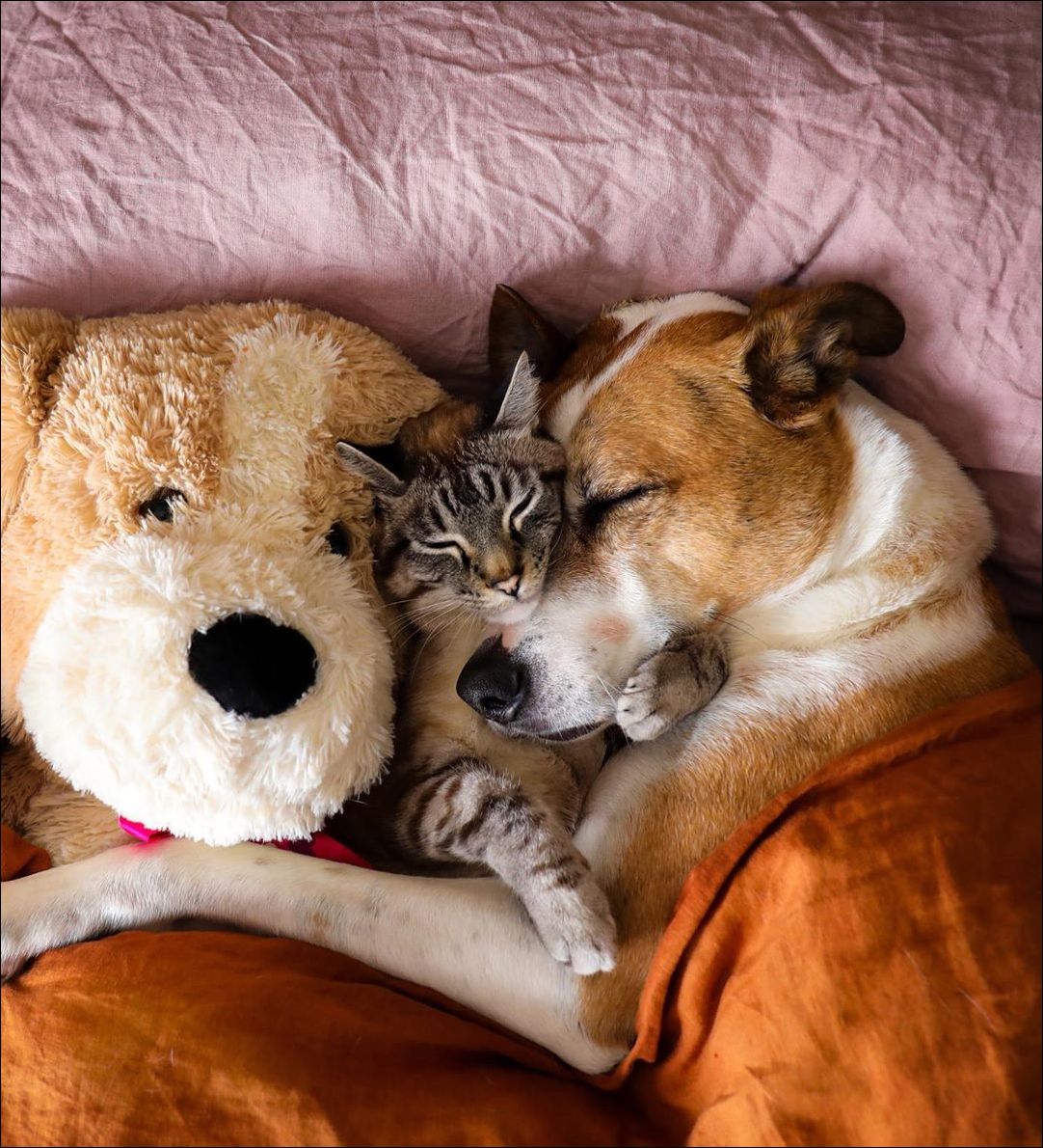 фото приколы