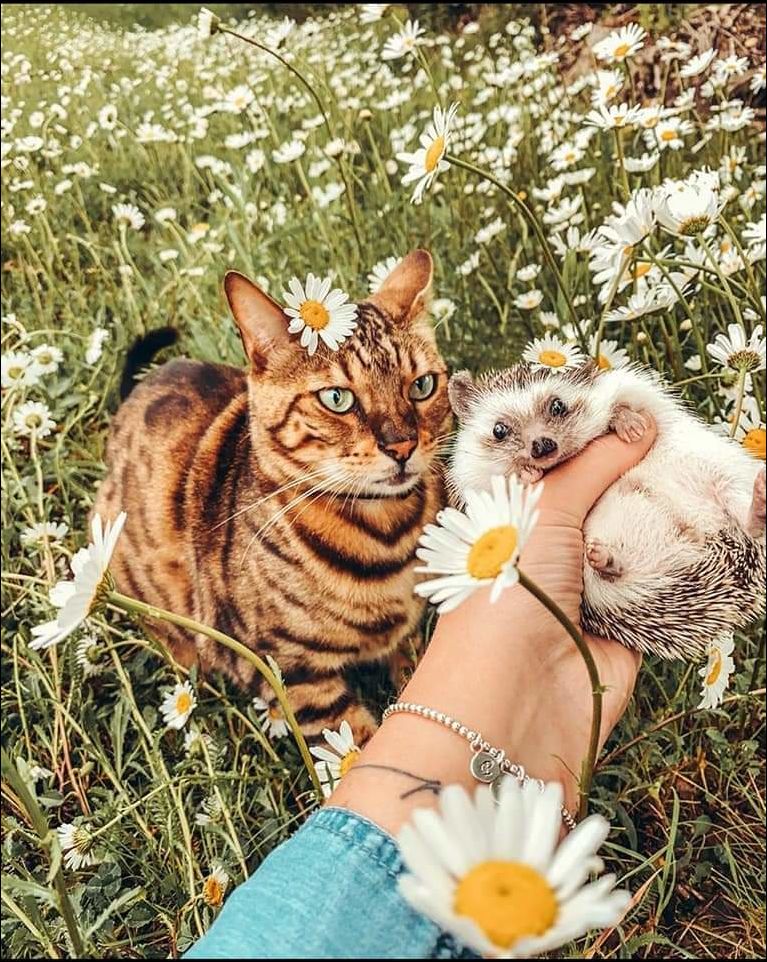 фото приколы